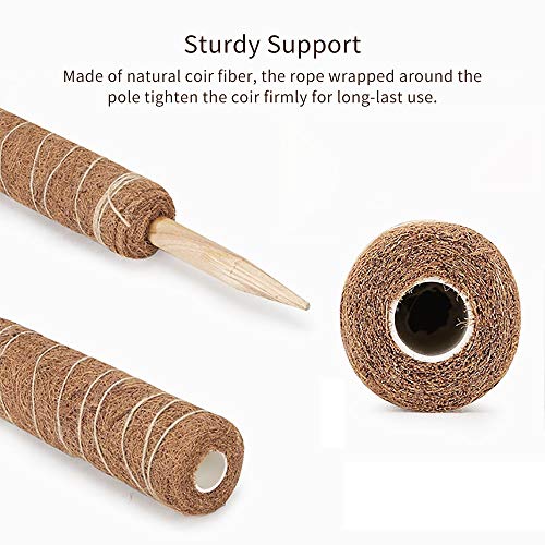30 Inch Moss Pole for Climbing Plants - 2 Pack 15 Inch Coir Totem Pole Plant Support with 65 Feet Garden Twist Tie for Monstera and Potted Plants to Grow Upwards… - view 3