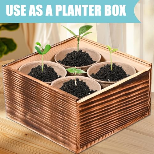 Indoor Daisy Garden Starter Kit, 4 Flower Seeds Growing into Shasta Daisy, Cornflower, Sunflower, Zinnia, Including Complete Gardening Tools for Women Men & Beginners - view 4