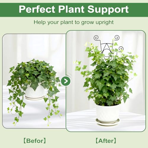 Stackable Metal Trellis for Climbing Plants Indoor - 4 Pack Garden Trellis for Potted Plants, Plant Support Stakes for Flower Vines - Rust-Resistant Sturdy Plant Trellis - view 4