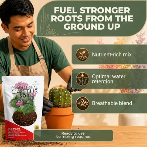 Professional Cactus Soil Mix Large 2.2 Quarts Ready to Use, Premium Fast Draining Potting Soil for Cactus and Succulents, Peat Moss Coco Coir Perlite Dolomite Blend Indoor Plant Soil Made in USA - view 4