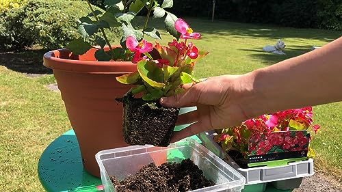 Begonia Plant Potting Soil - Experience Stunning Blossoms and Vibrant Growth with Professional Grade Mix - 10 Quart - view 3