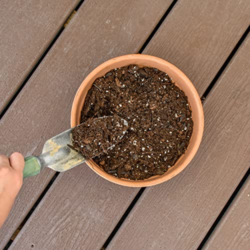 Potting Soil for Ferns (8 Quarts), Hand Blended Soil Mixture for Planting and Re-Potting Indoor and Outdoor Ferns - view 5