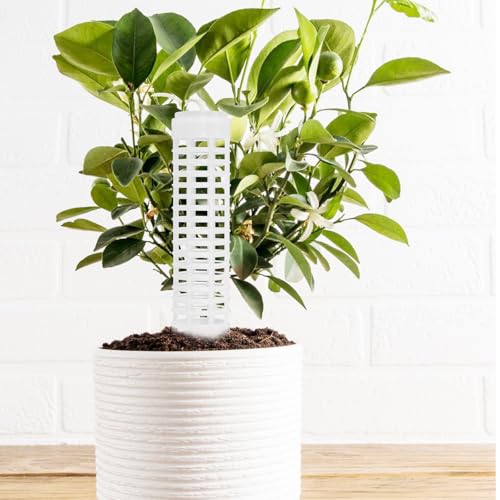 4pcs Plastic Moss Pole Plant Support Climbing Upright Growth - view 7