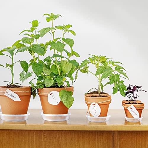 9 Pack Clear Plastic Plant Saucer, Durable Plant Trays Flower Plant - view 4