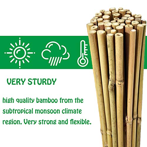 Natural Bamboo Stakes 4 Feet, Eco-Friendly Garden Stakes, Plant Stakes Supports Climbing for Tomatoes, Trees, Beans, 25 Pack - view 2