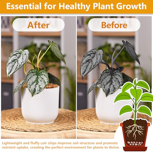 2 Pack Coco Chips for Plants- 2.2lb Organic Coconut Husk Potting Mix - view 4