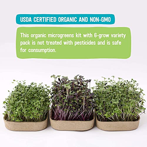 DIY Microgreen Grow Kit, 6-Grow Variety Pack - view 5