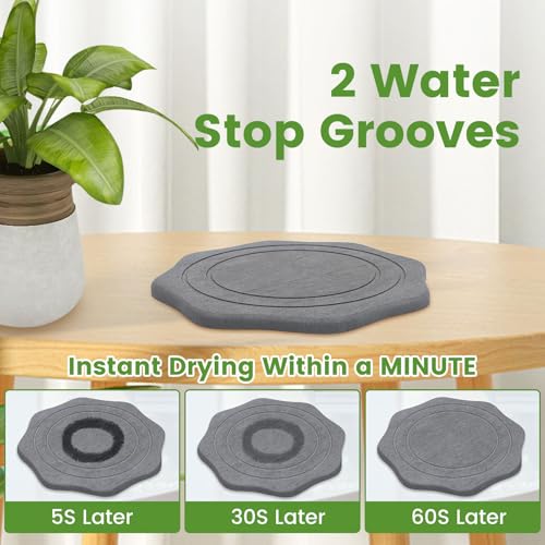 Plant Saucer for Indoors, 2 Packs 8 12 inch, Diatomaceous Earth Pot Saucers No Holes, Instant Dry Plant Drainage Trays for Pots, Dark Gray - view 2