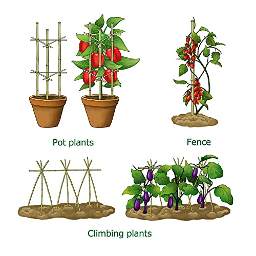 Bamboo Stakes, 4ft Tomato Stakes,25 Pack Bamboo Sticks for Plants - view 5