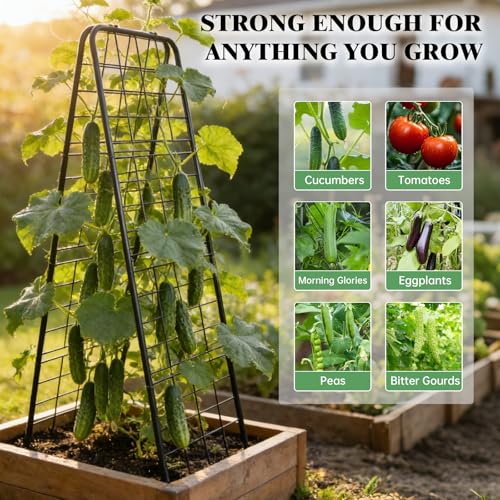 2 Pack Cucumber Trellis for Garden, A-Frame Vertical Arch Trellis - view 5