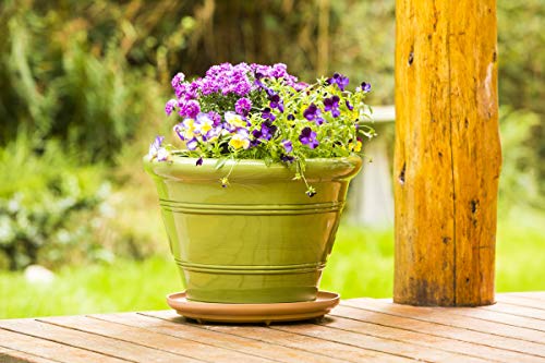 S41130 Down Under Plant Turner, Heavy-Duty Rotating Plant Stand, Protects Decks, Wood Floors, Carpet, Tile, 250lbs Capacity, 12-Inch, Terra Cotta - view 5
