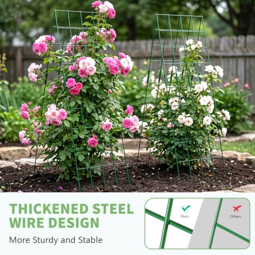 59" H Cucumber Trellis, 2 Pack Foldable A Frame Garden Trellis - view 5