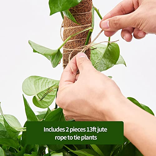 101in Moss Pole for Plants Monstera 8 Pcs - view 5