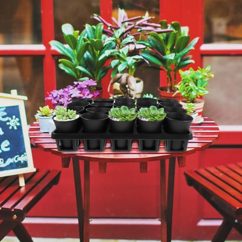 Black Plastic Nursery Plant Pot Holder Tray with Humidity Dome for Cacti - view 4
