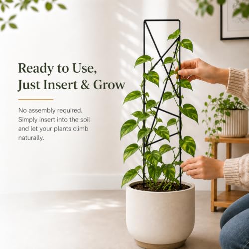 17.5 inch Small Trellis for Potted Plants, Metal Plant Trellis Indoor - view 3