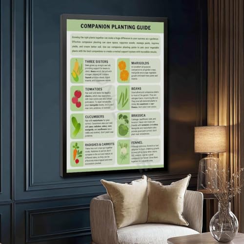 Companion Planting Guide Poster Plantings Types (2) - view 3