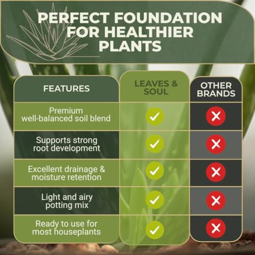 Professional Aloe Plant Soil Mix Large 8.2 Quarts Ready to Use, Premium Potting Soil for Aloe Vera Cactus Succulent Plants, Fast Draining Blend Pinebark Peat Course Sand Indoor Made in USA - view 3