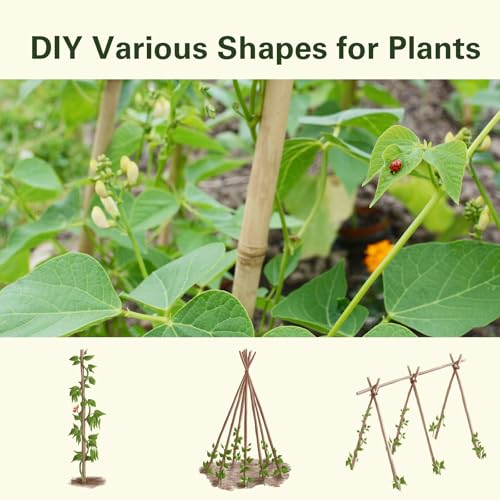 30pcs Bamboo Stakes 4FT, 1/2" D Thicker Garden Stakes Multi-Purpose, Plant Stakes for Tomatoes, Beans, Cucumbers, Peppers, Flowers, Potted, Maintain the Plant Posture, Strengthen and Stem - view 5