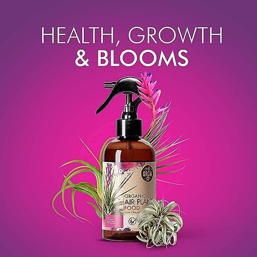 Organic Ready to Spray Air Plant Food - Fertilizer Mist for Weekly Use - Best for Live Tillandisa, Bromeliads, and Other Common Air Plants (8 oz) - view 6