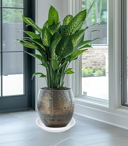 2 Pack of 16 inch Plant Saucer, Large Plant Tray, Heavy Sturdy Plant Drainage Tray for Indoors, Bird Bath Bowls, Sturdy Plastic Pot Tray for Planter (White) - view 3