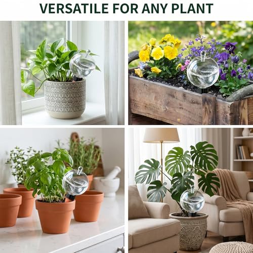 6 Pack 26 oz Extra Large Plant Self Watering Globes to 3 Weeks Watering - view 4