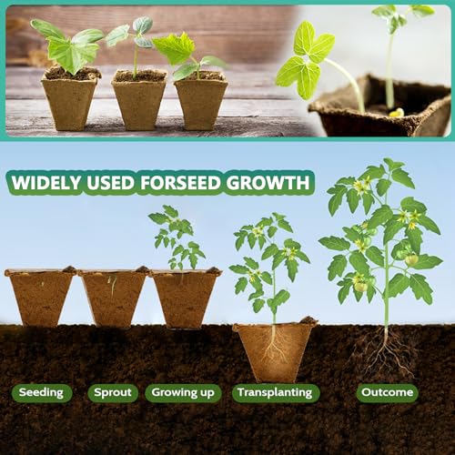 120 Cells Seed Starter Tray, 10 Pack Plant Starter Kit - view 3