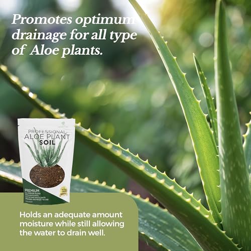 Professional Aloe Plant Soil Mix Large 2.2 Quarts Ready to Use, Premium Potting Soil for Aloe Vera Cactus Succulent Plants, Fast Draining Blend Pinebark Peat Course Sand Indoor Made in USA (Pack of 2) - view 5