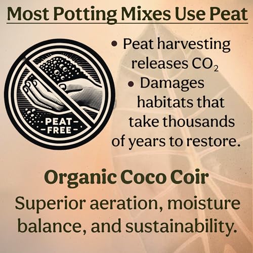 Craft Aroid Potting Mix, Chunky Soil Mix for Monstera, Alocasia, Philodendron, Anthurium & Tropical Plants, Organic Well Draining Indoor Potting Soil for House Plants, Peat Free, 2 QT - view 5