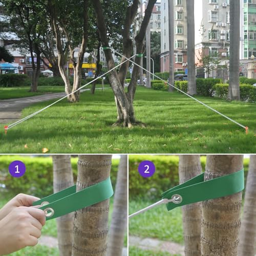 Tree Straps for Staking, 8 PCS Tree Support Straps for Newly Planted Saplings and Hurricane Protection, Tree Straightening Ties Green - view 6