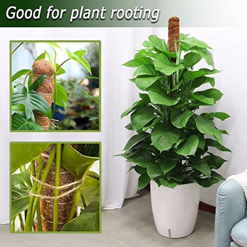 48 Inch Moss Pole, Bendable Moss Pole for Plants Monstera, Tall Moss Poles for Climbing Plants Indoor, Large Moss Pole Support, Garden Trellis Plant Stick Stakes for Potted Plants, Pothos - view 2
