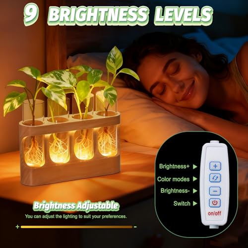 Plant Propagation Station with Wood Stand, 3-Mode 9-Level Adjustable Lights - view 5