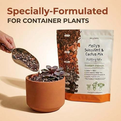 Molly's Succulent Potting Mix, Cactus and Bonsai Gritty Blend, 5 Dry Quarts - view 6