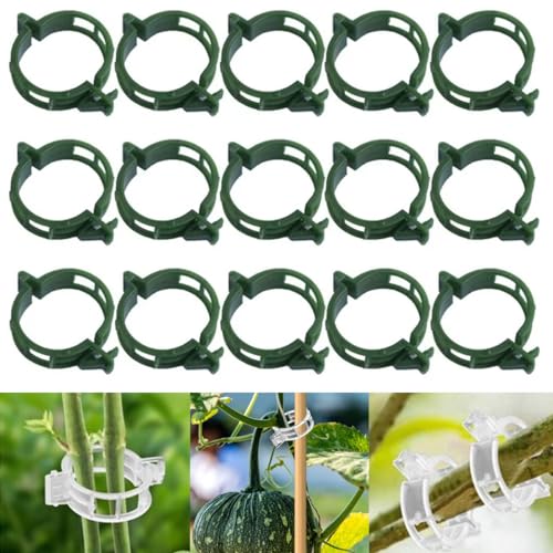 150 PCS Secured Plastic Plant Clip, Plant Support Clips, Garden Clips for Climbing Plants, Plastic Trellis Clips Plant Support Clips Tomato Grape Vine Vegetables Plant Fixing Clips (150, Green)