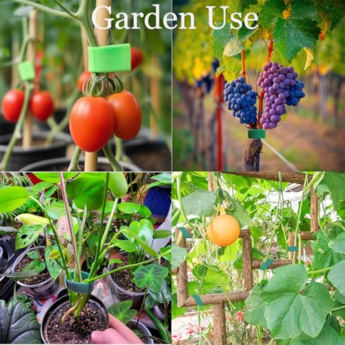 Plant Tape for Supporting Plants - 1/2" x 66ft Reusable Soft Garden Tie - view 2