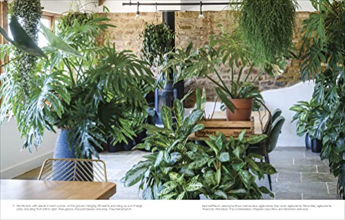 Not Another Jungle: Comprehensive Care for Extraordinary Houseplants - view 4