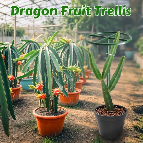 62" Round Dragon Fruit Trellis Adjustable Plant Trellis - view 2