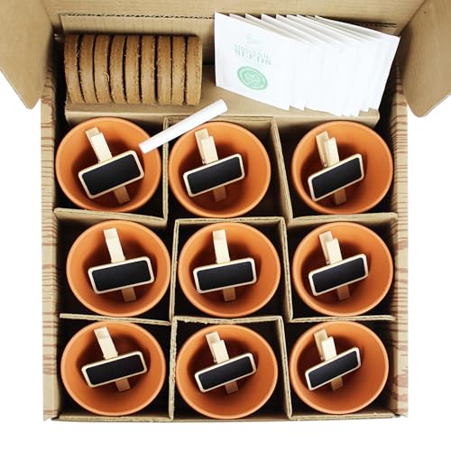 Seeds Apothecary Wellness Kit, Terracotta Pots, Lavender & Herbs - view 4