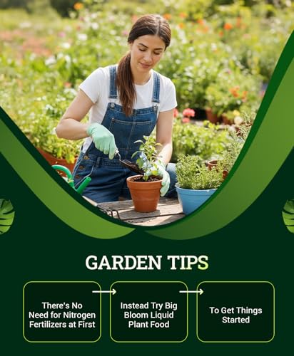 Ocean Forest Potting Soil for Container Gardens - Light, Aerated Texture with Fish Meal, Crab Meal, Earthworm Castings - Houseplant Potting Mix for Seedlings & Plant Starts - 2 x 12 Quart - view 6