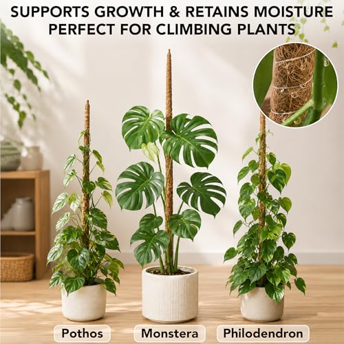 Bendable Moss Pole Monstera Plant Support, 63 Inch, 2 Pack, 10 Feet Plant Ties, Moss Poles for Climbing Plants and Monstera Trellis - view 4