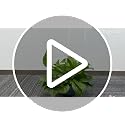 2 Pack Acrylic Tuteur Plante Interieur, Clear Plant Support Trellis Indoor - view 7