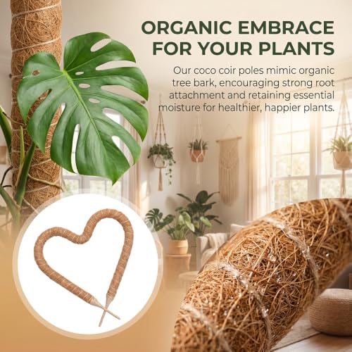 Bendable Coconut Pole Support Stakes, 30cm Flexible Moss Stick with 5mm Aluminum Core, Reusable Climbing Vine Training Frame for Green Plants - view 5