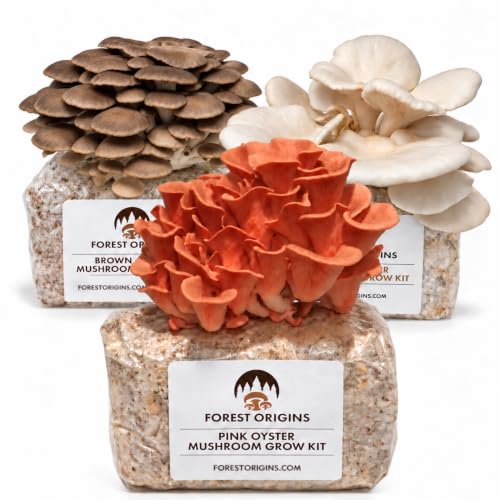 Specialty Trio Oyster Mushroom Kits, Pink Brown White 3-Pack
