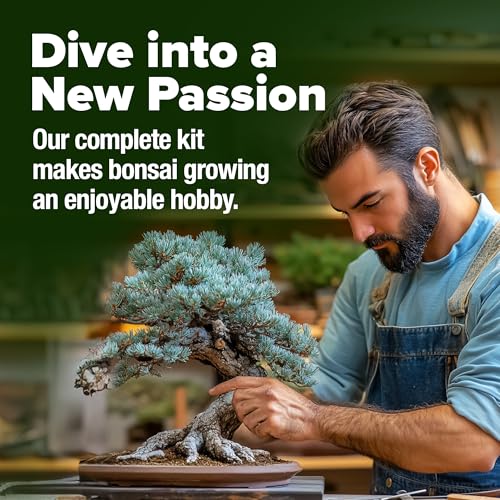 Bonsai Tree Starter Kit, Grow 4 Bonsai Trees, Gardening Gift - view 5