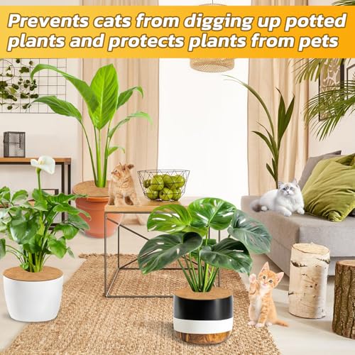6 Pack Coconut Fiber Mulch Ring Tree Plant Protector Mat, 24 Inch - view 6