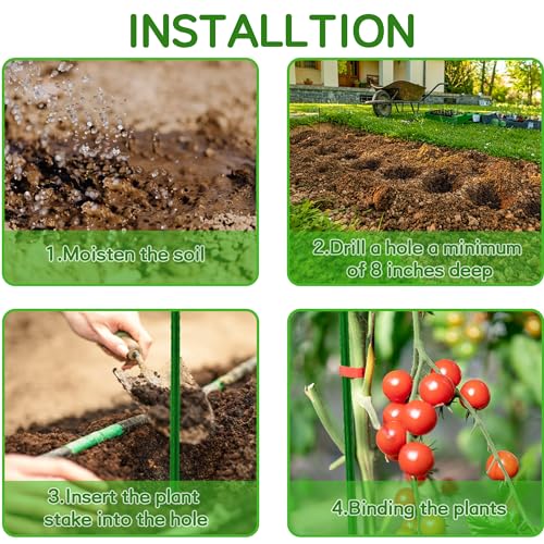 Garden Stakes 48 Inches Sturdy Green Plant Sticks 25 Pack, Metal Tomato Stakes Support, Yard Plant Support Cage for Potted Plants, Tomatoes, Trees, Cucumber, Fences, Beans (48 inch) - view 6