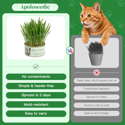 Cat Grass Growing Kit – 6 Cans, Non-GMO Organic Wheat Seeds - view 7