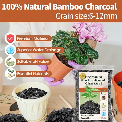 Horticultural Charcoal, Premium 1QT Activated Charcoal for Plants - view 2
