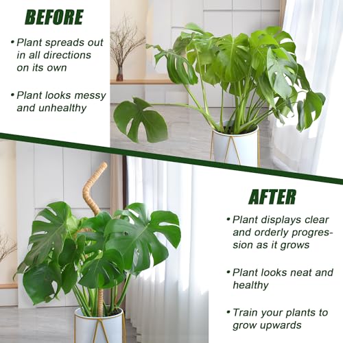 Moss Pole 31.5 Inch, 6 Pack Bendable Moss Pole for Plants Monstera, Moss Poles for Climbing Plants Indoor, Coconut Fiber Plant Poles Support Sticks for Potted Plants (31.5inch × 6pcs) - view 6