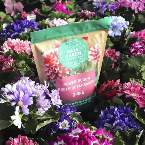 Power Bloom Organic Fertilizer 2-8-4, 500 G, Bloom Booster - view 3