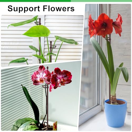 20Pcs Plant Support Stakes 17 inch Garden Orchid Sticks Extended to 3ft 4ft 5ft Plant Poles with Clips for Indoor Outdoor Potted Tomato Rose Amaryllis Vegetables Comes with 20 Ties(Brown) - view 6